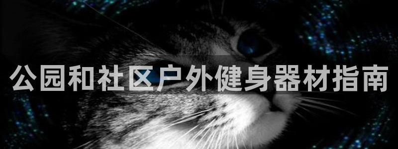 意昂3娱乐首页官网下载：公园和社区户外健身器材指南