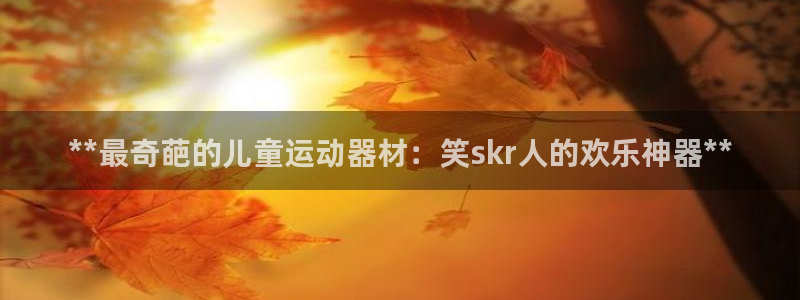 **最奇葩的儿童运动器材：笑skr人的欢乐神器**