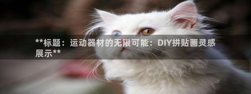 意昂体育3娱乐：**标题：运动器材的无限可能：DIY