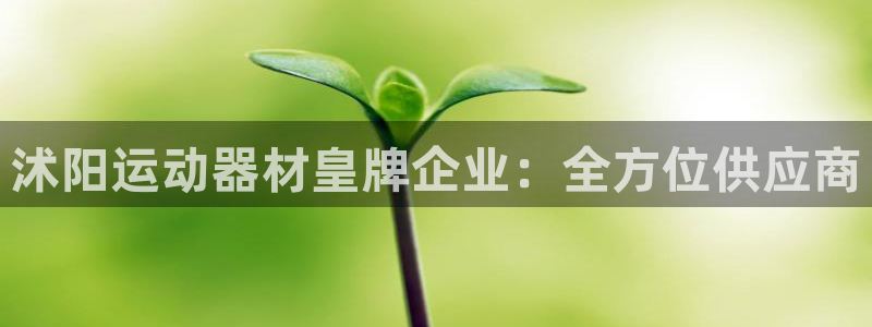 意昂体育3官方客服电话：沭阳运动器材皇牌企业：全方位供应商