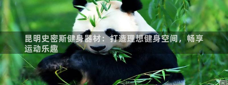 意昂体育3官方客服电话:昆明史密斯健身器材:打造理想健身空间