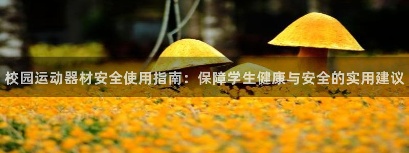 意昂3娱乐首页官网下载:校园运动器材安全使用指南:保障学生健